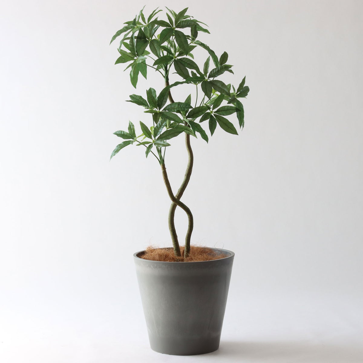 ⑯ Petraポット 大（PT10 グレー）高さ調整セット(+15cm)