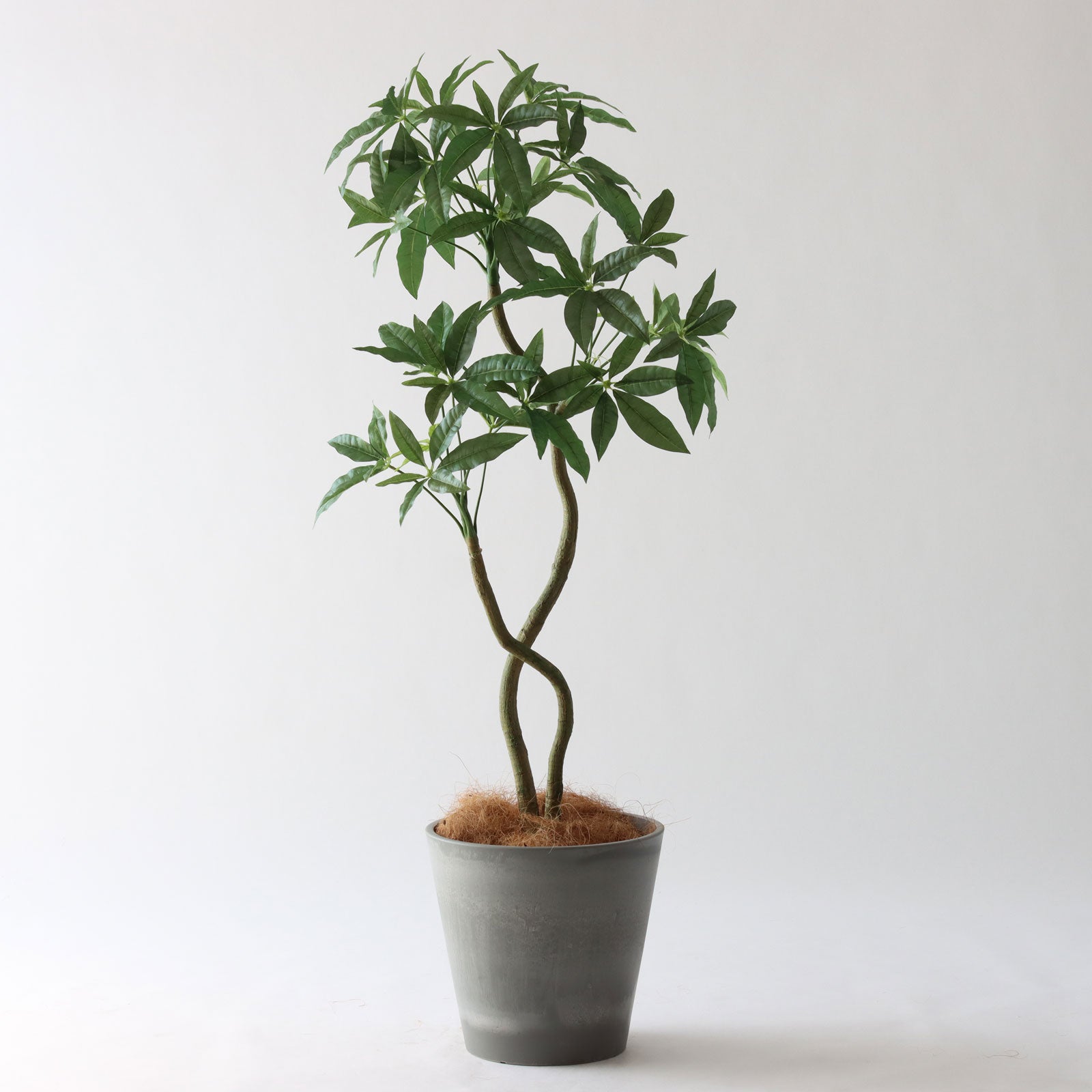 新品 三栄コーポレーション 光触媒 パキラ フェイクグリーン 約195cm 観葉植物 パキラ フェイクグリーン 光触媒人工観葉植物 高さ90cm | FIGARO