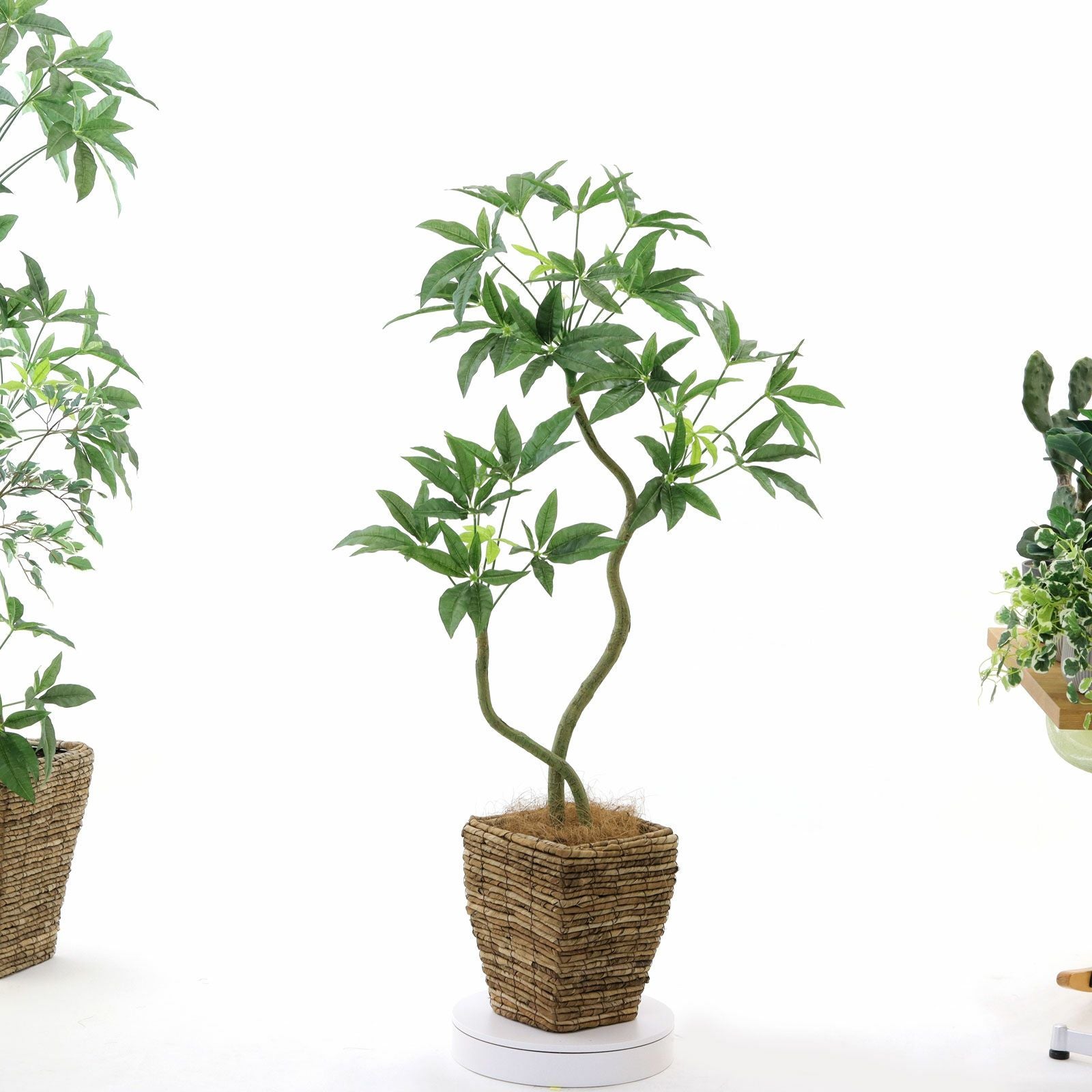 360度回転イメージ