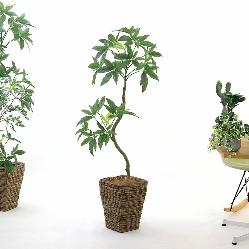 ② バナナリーフ 大（KG5-SRE）鉢カバーセット