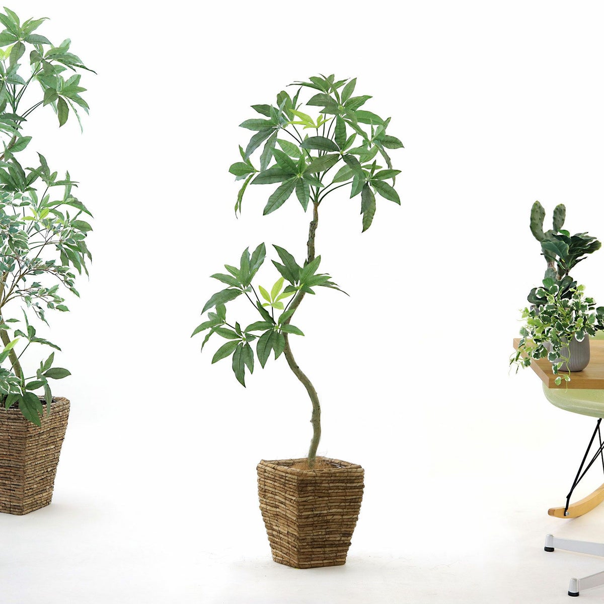 ④ バナナリーフ 小（KG4-SRE）鉢カバーセット