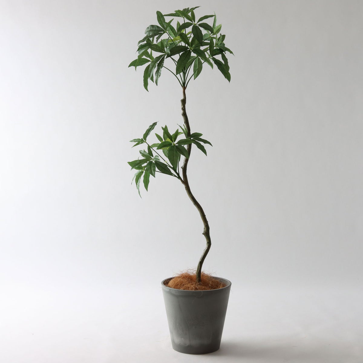 ⑮ Petraポット 小（PT8 グレー）｜高さ調整セット（+10cm)