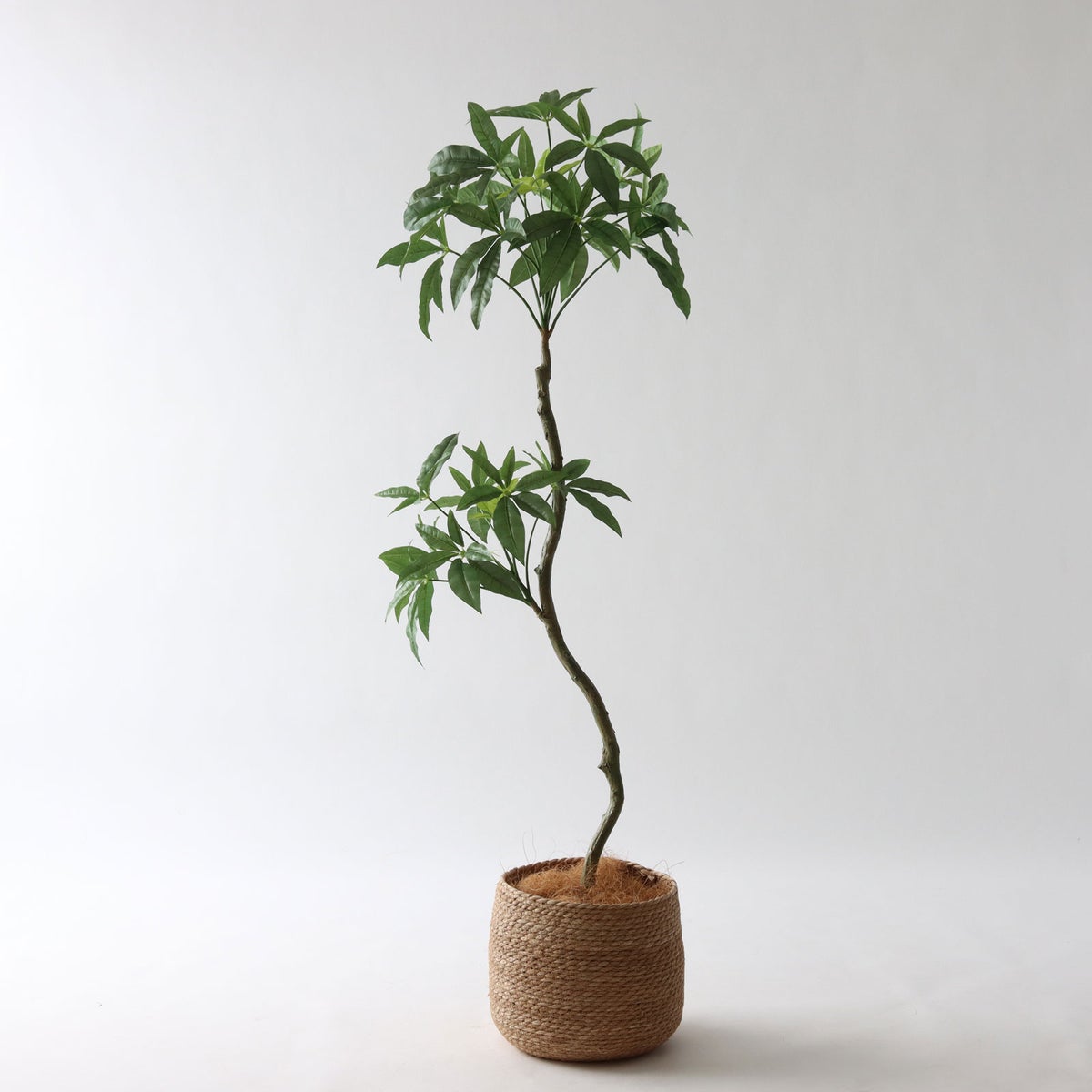 ③ シーグラス 小（SK7）｜標準セット