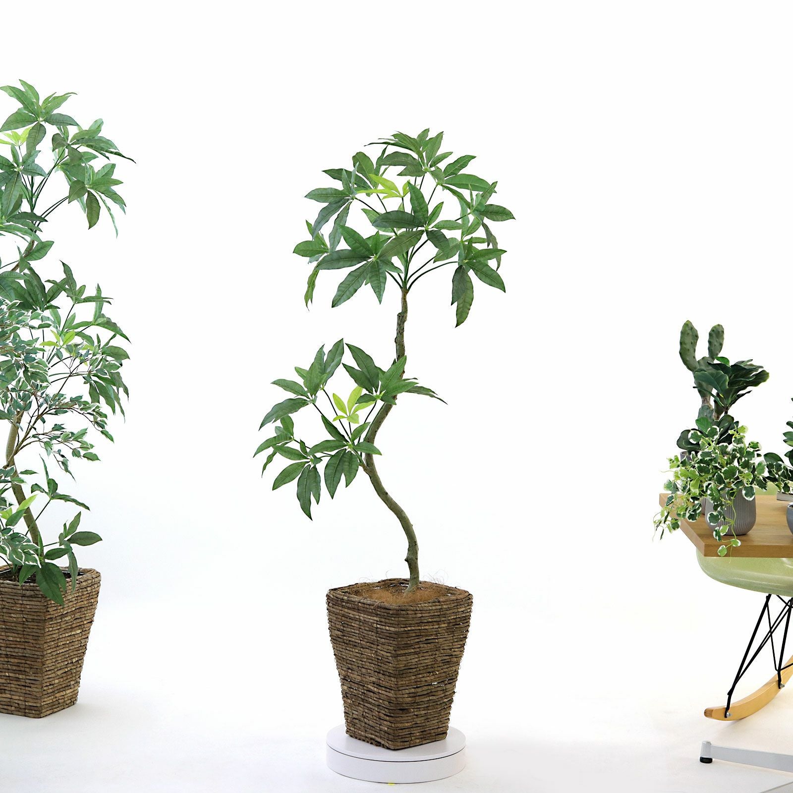 360度回転イメージ