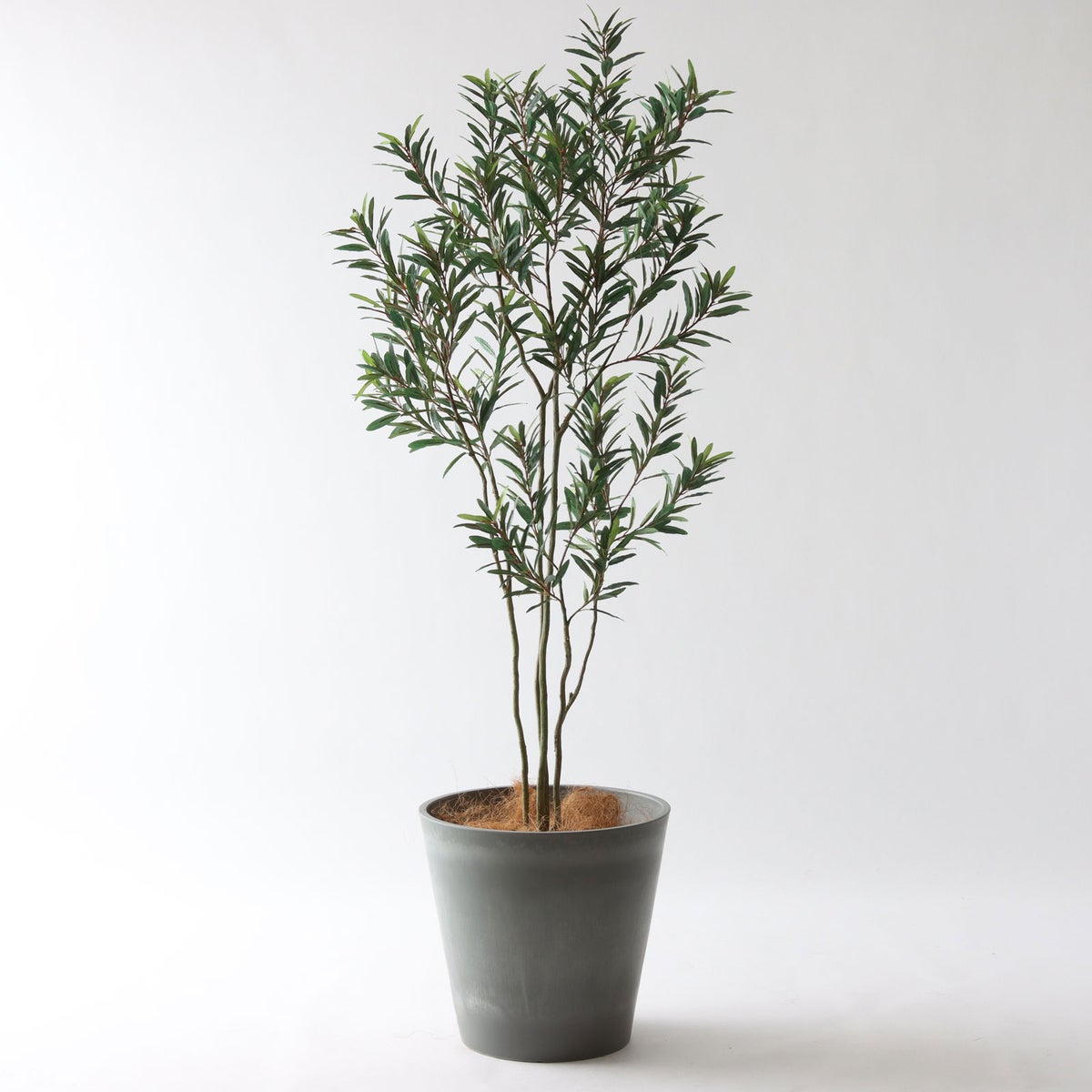 ⑯ Petraポット 大（PT10 グレー）｜高さ調整セット（+15cm）