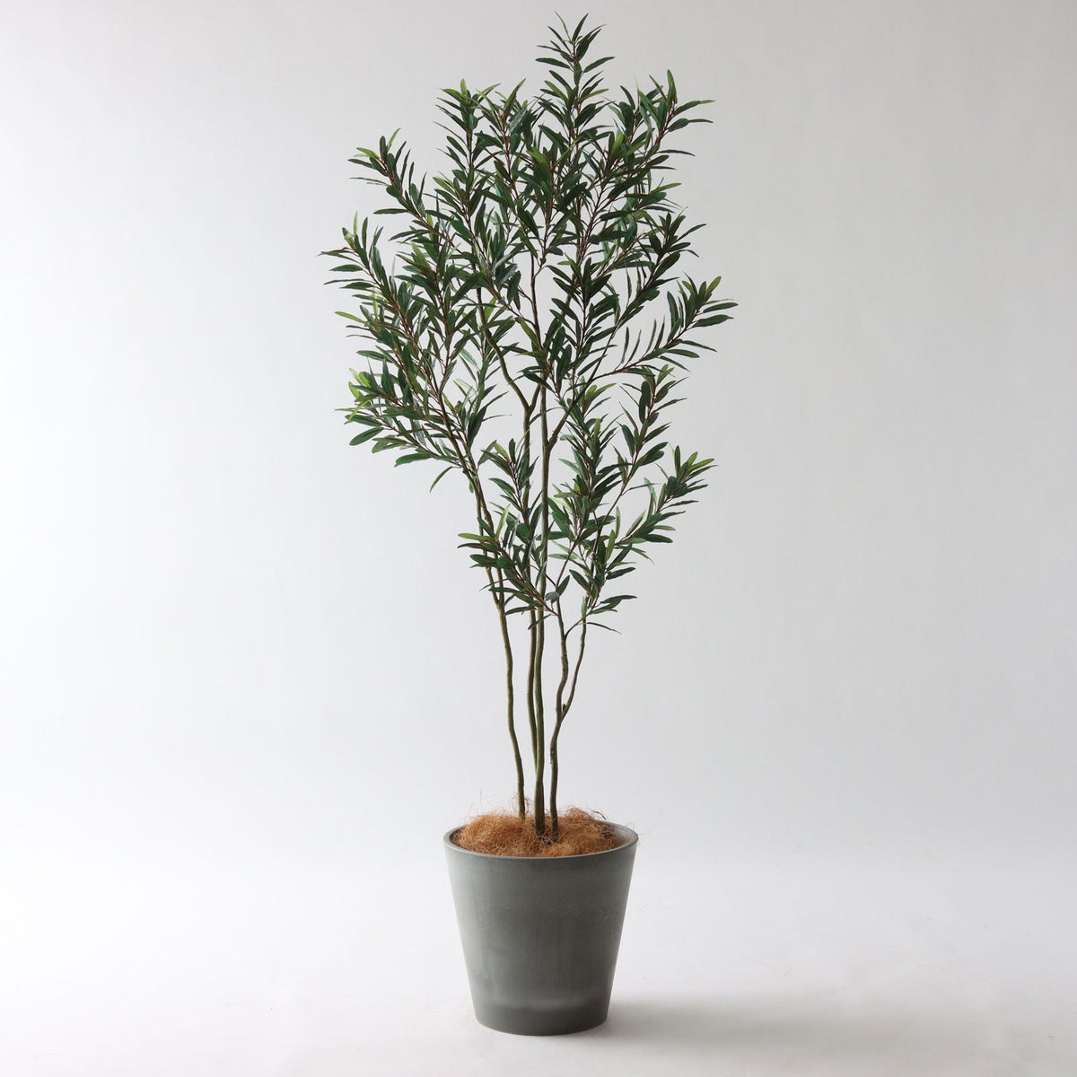 ⑮ Petraポット 小（PT8 グレー）｜高さ調整セット（+10cm）