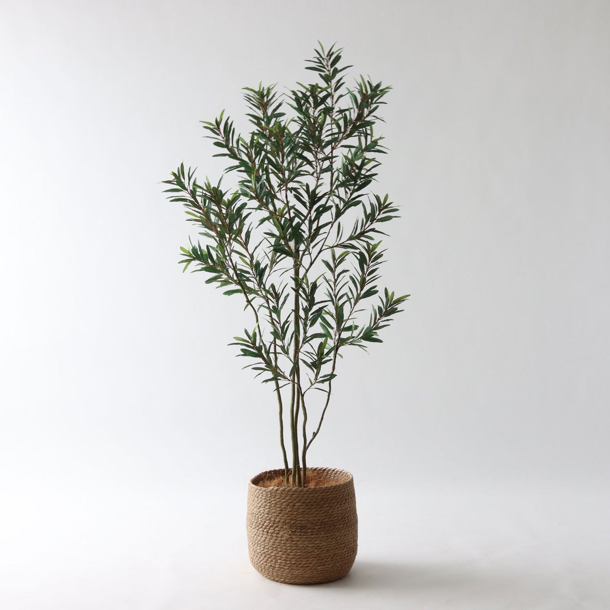 ① シーグラス 大（SK8）｜標準セット