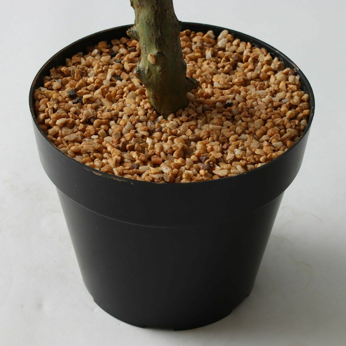 ⑭ プラ鉢（標準）