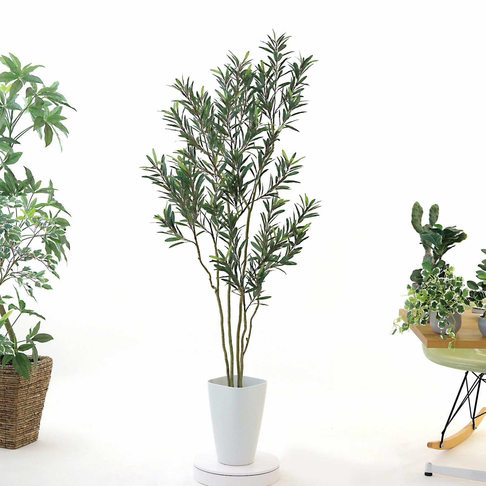 360度回転イメージ