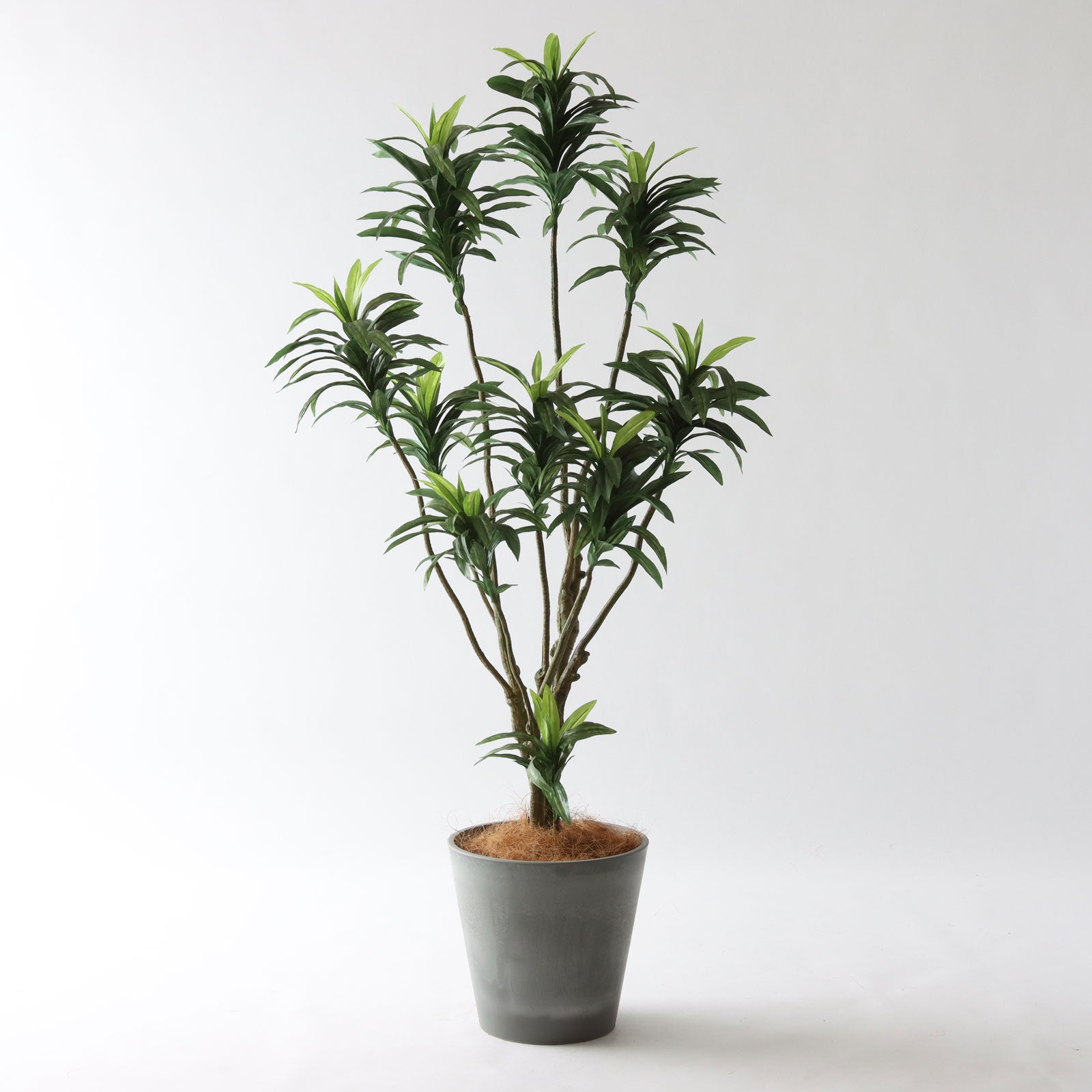 幅-70cm | プレミアム光触媒フェイクグリーン 造花ドットコム zouka.com