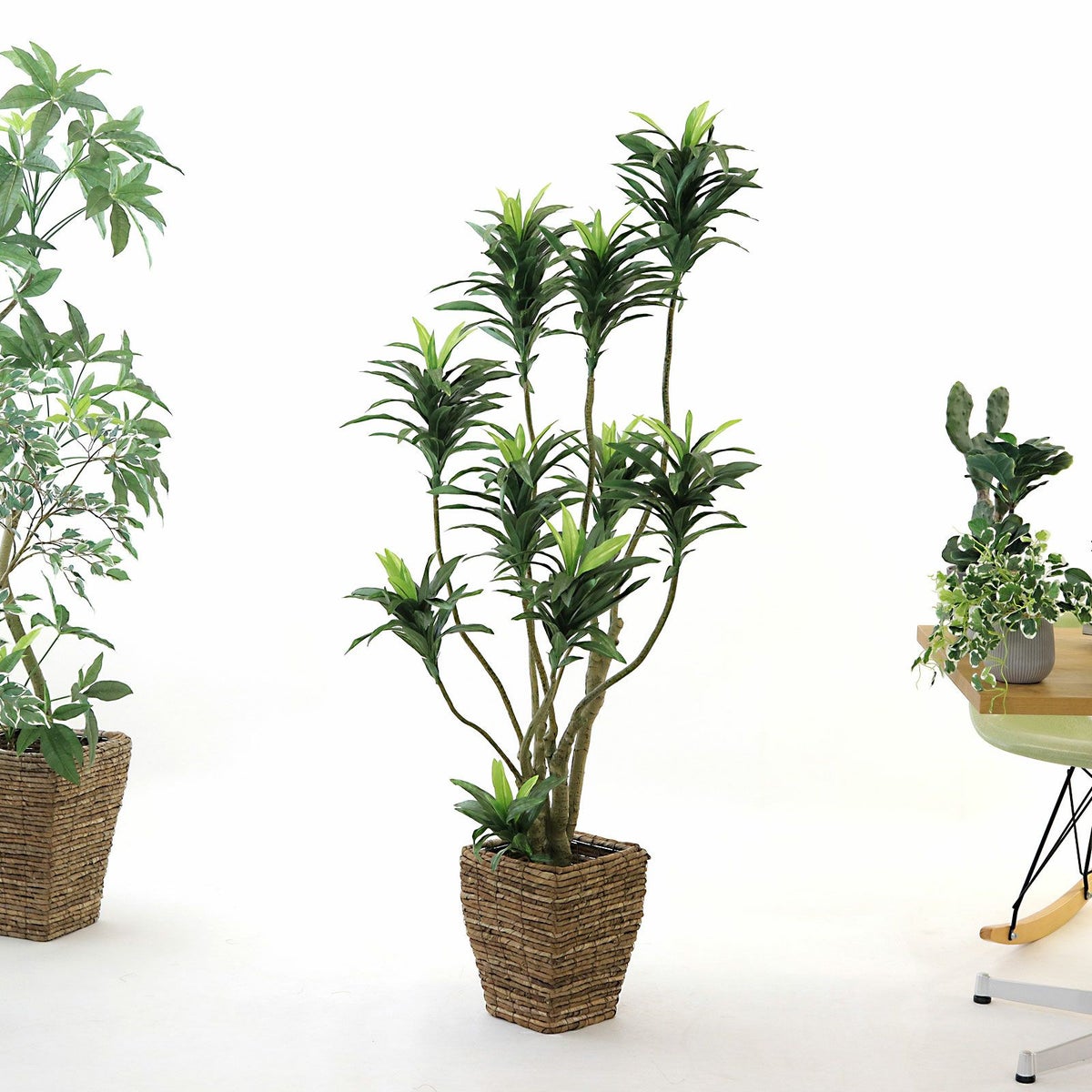 ④ バナナリーフ 小（KG4-SRE）鉢カバーセット