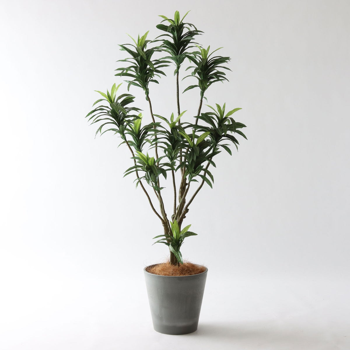 ⑮ Petraポット 小（PT8 グレー）｜高さ調整セット（+10cm）