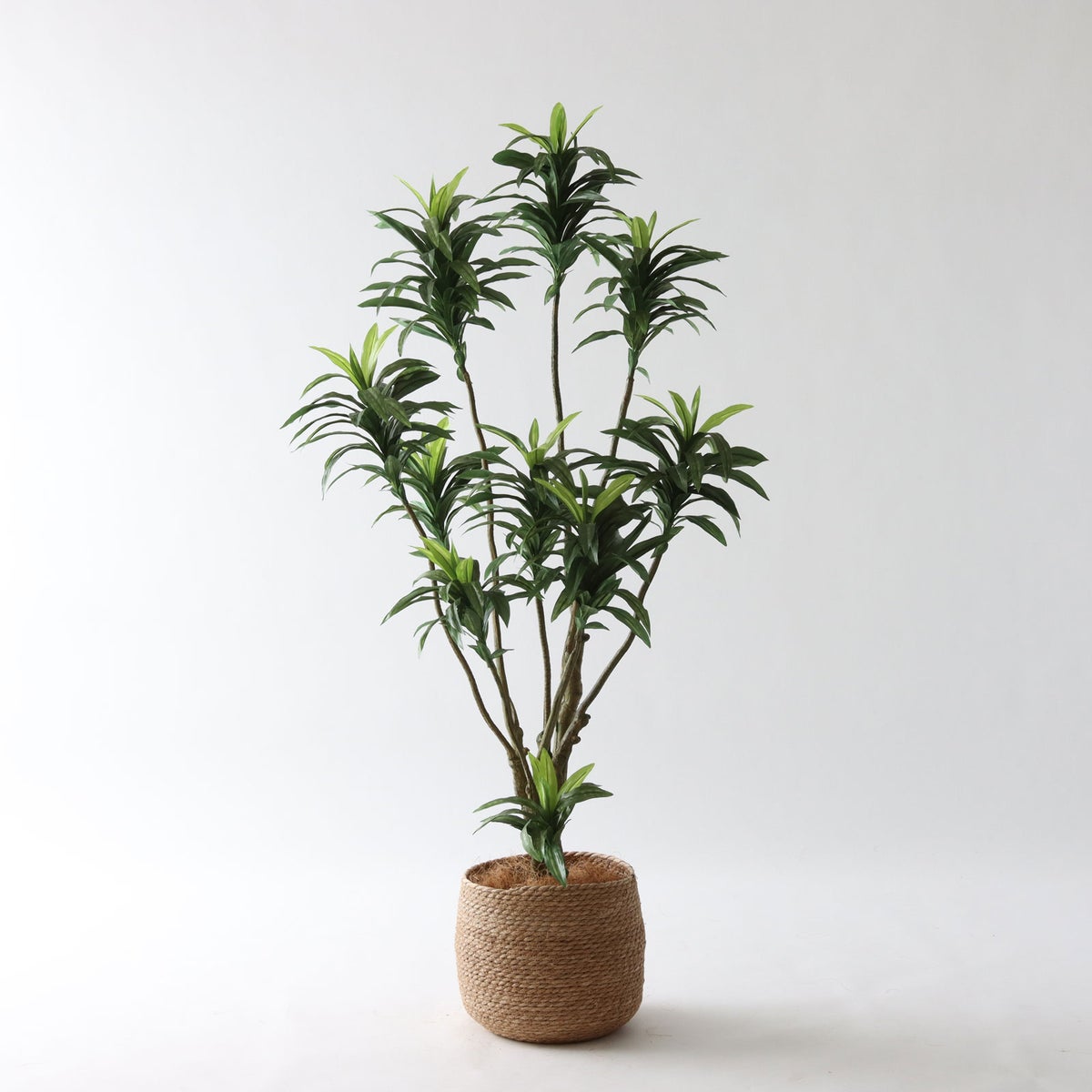 ③ シーグラス 小（SK7）｜標準セット