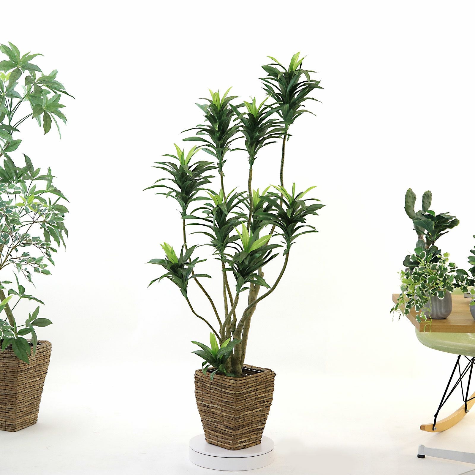 360度回転イメージ