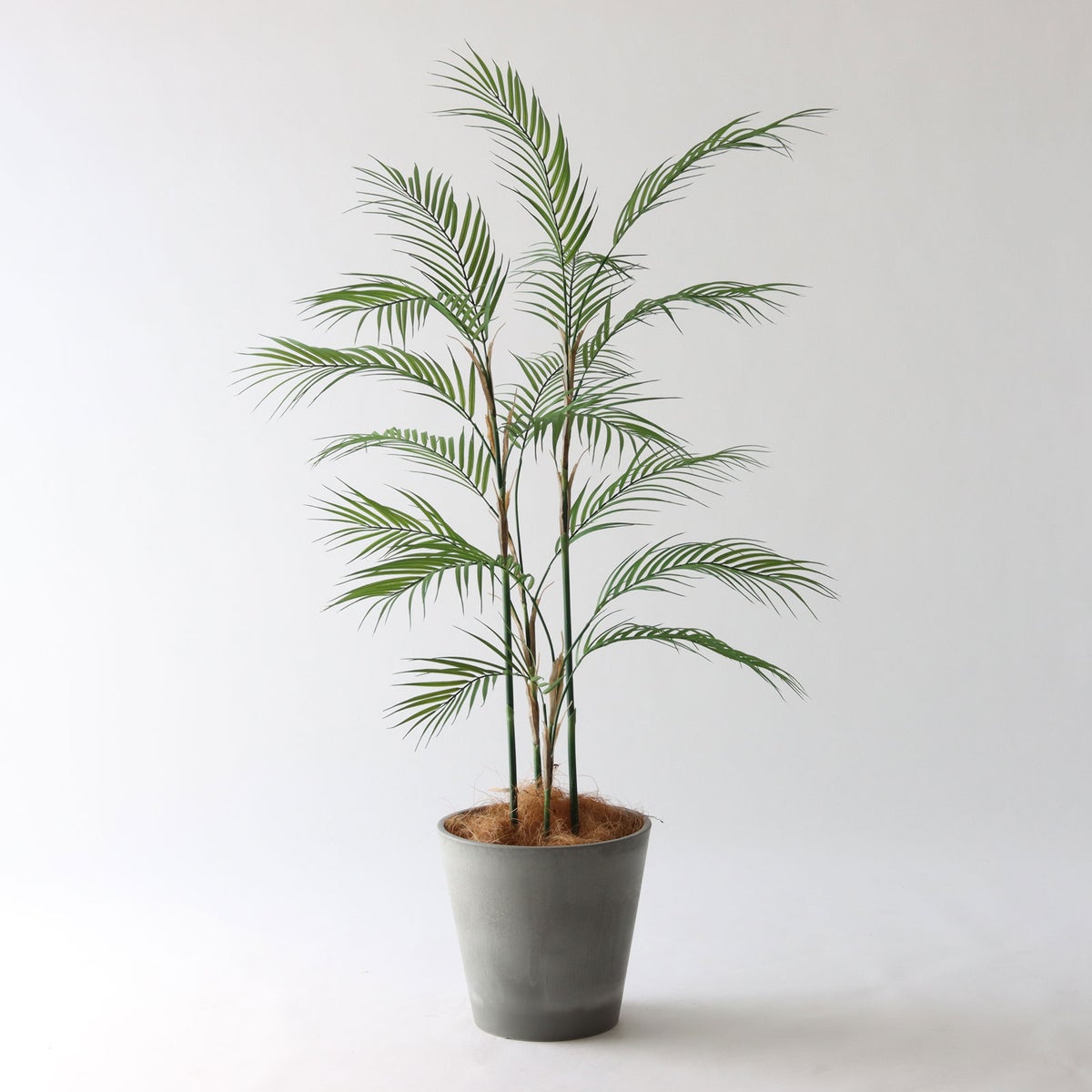 ⑮ Petraポット 小（PT8 グレー）鉢カバー＋底上げセット