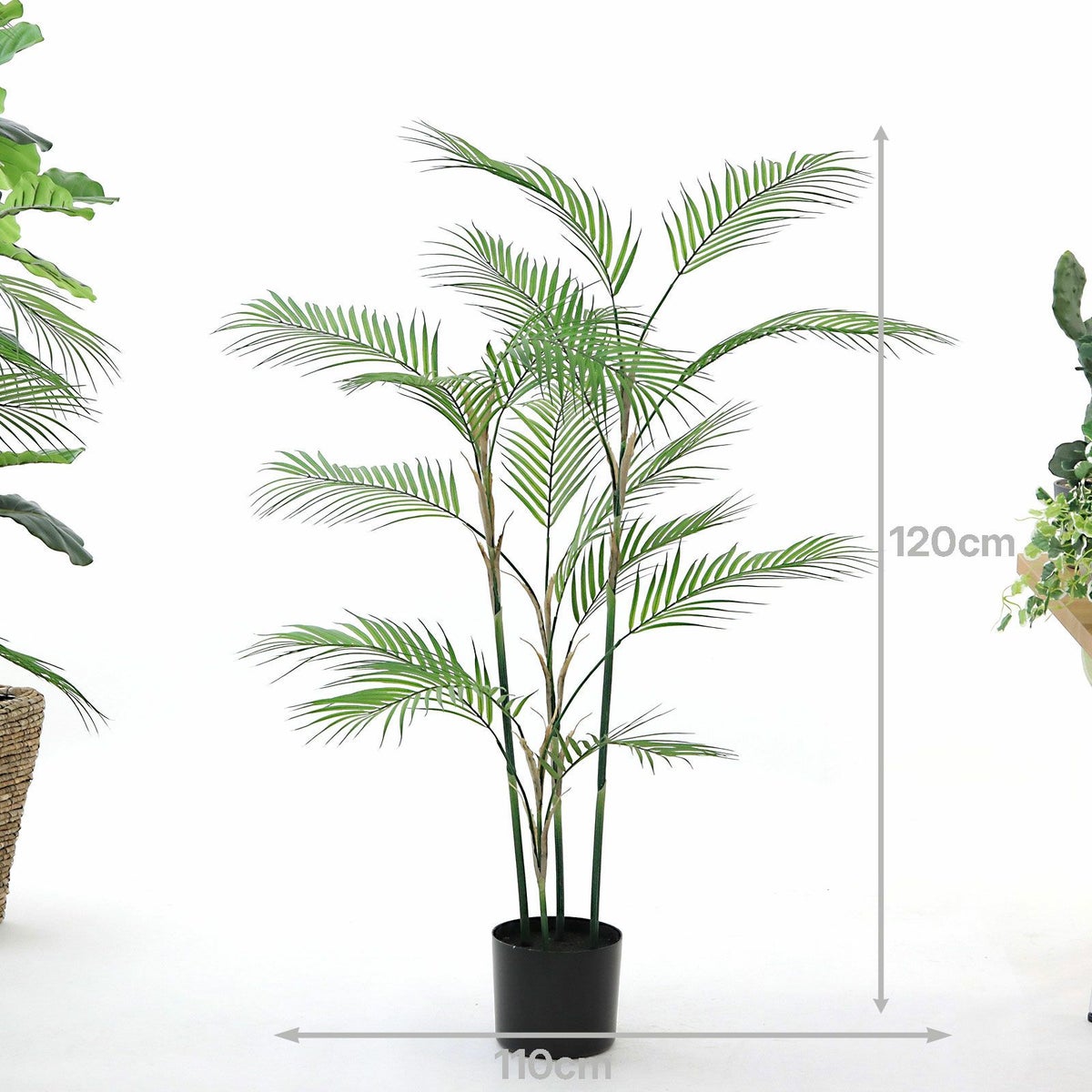 ⑭ プラ鉢（標準）