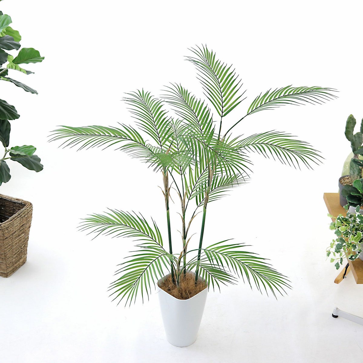 ⑫ スマートポット（CHIC8）鉢カバーセット