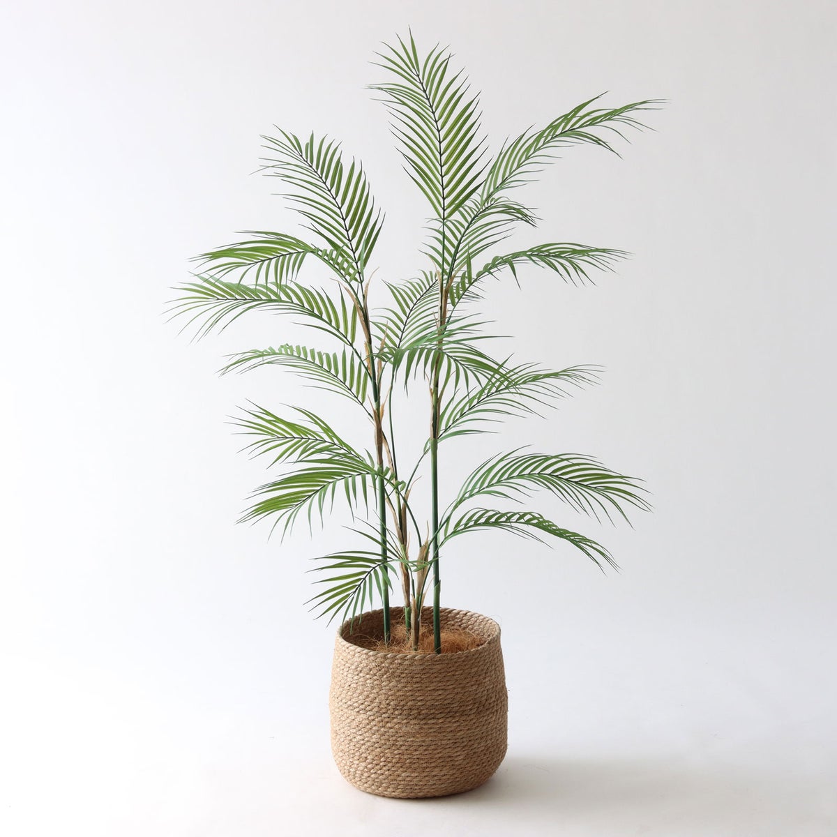 ① シーグラス 大（SK8）鉢カバーセット