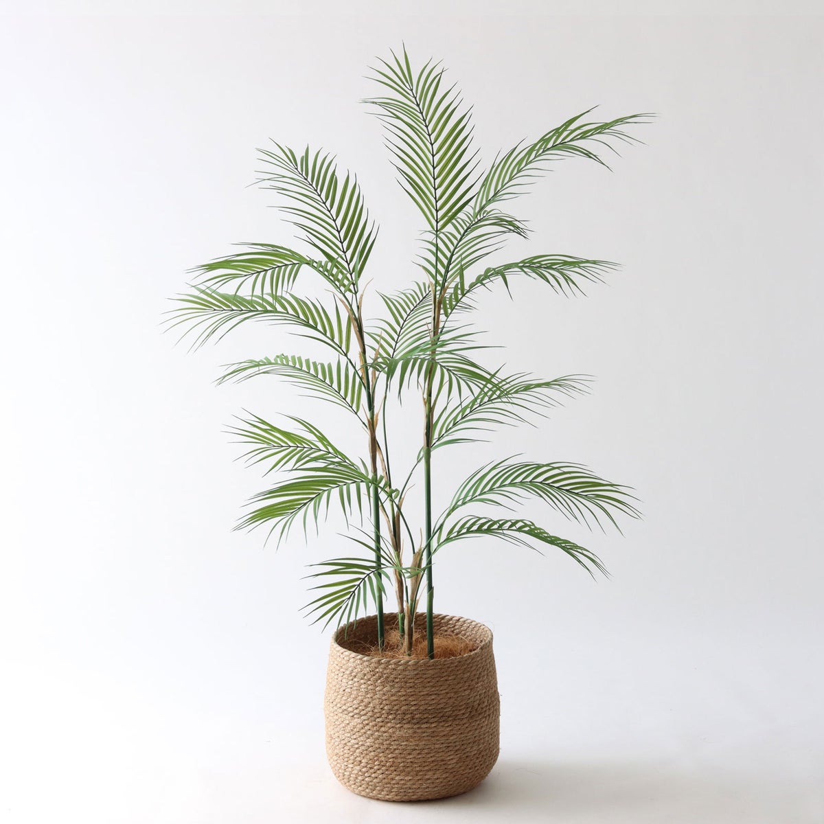 ① シーグラス 大（SK8）｜標準セット