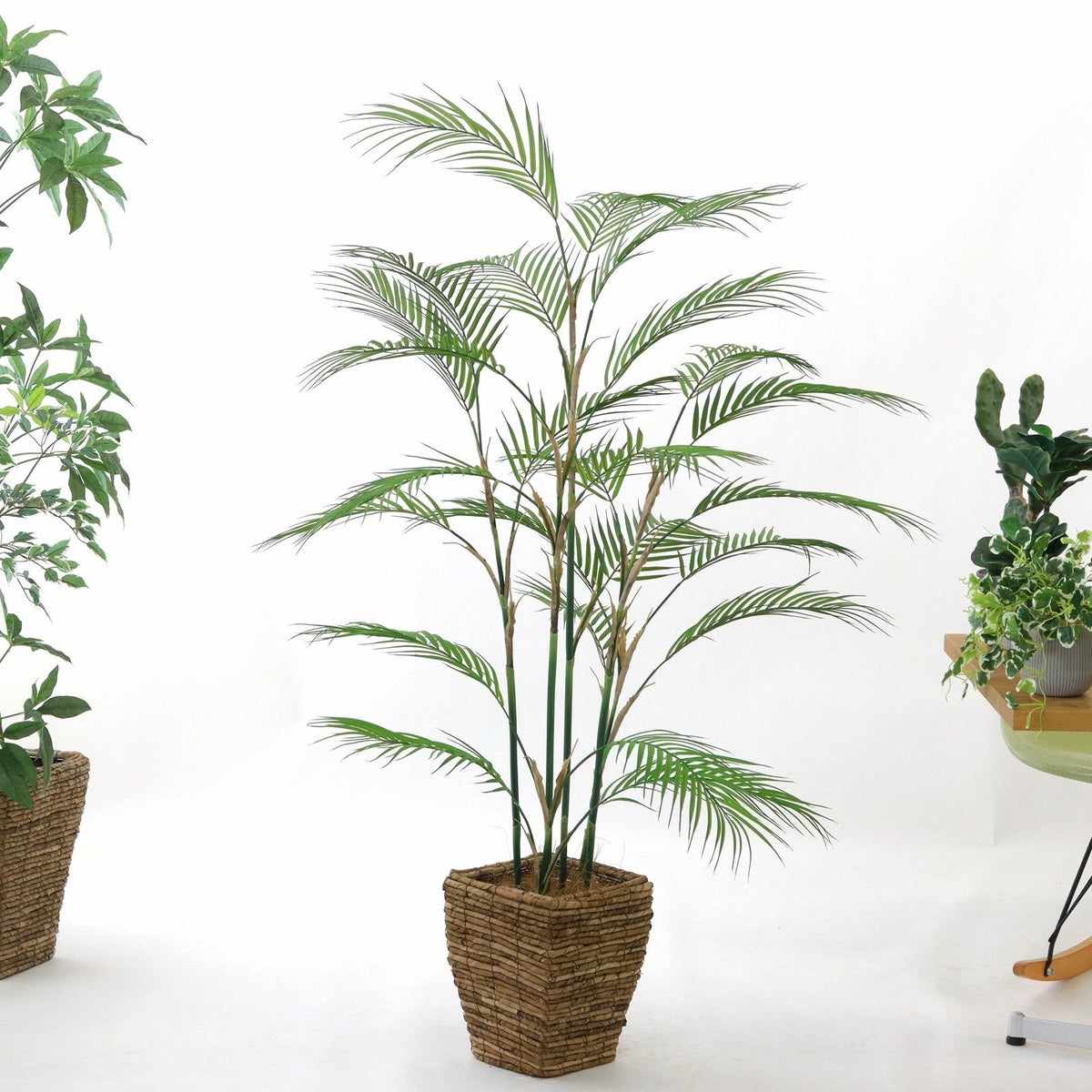 ④ バナナリーフ 小（KG4-SRE）鉢カバーセット