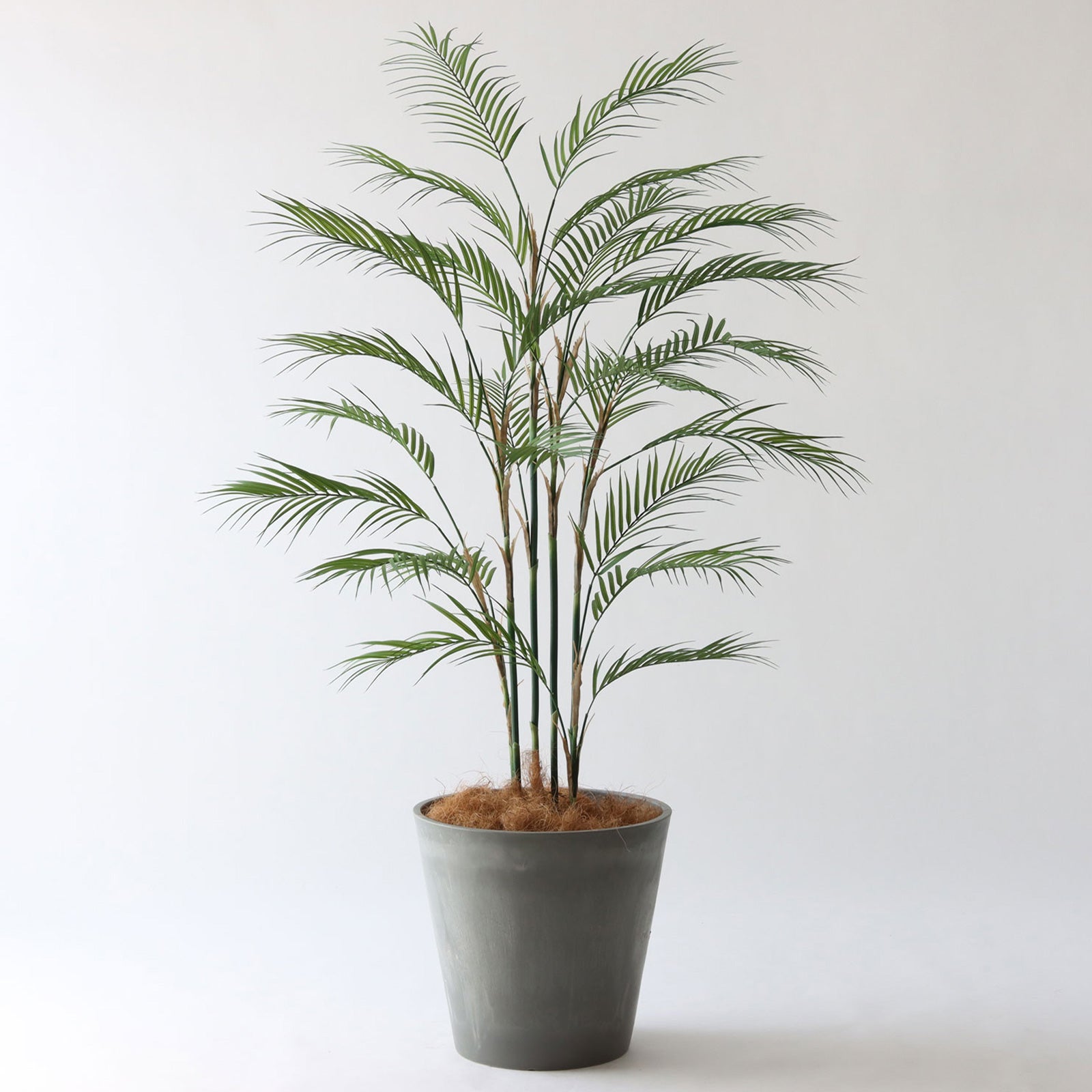 造花観葉植物 高さ120-150cm | プレミアム光触媒フェイクグリーン 造花ドットコム