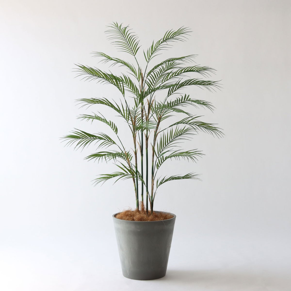 ⑯ Petraポット 大（PT10 グレー）鉢カバー＋底上げセット