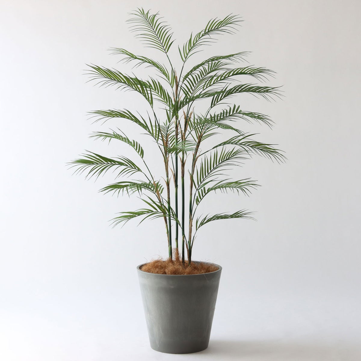 ⑯ Petraポット 大（PT10 グレー）｜高さ調整セット（+15cm）