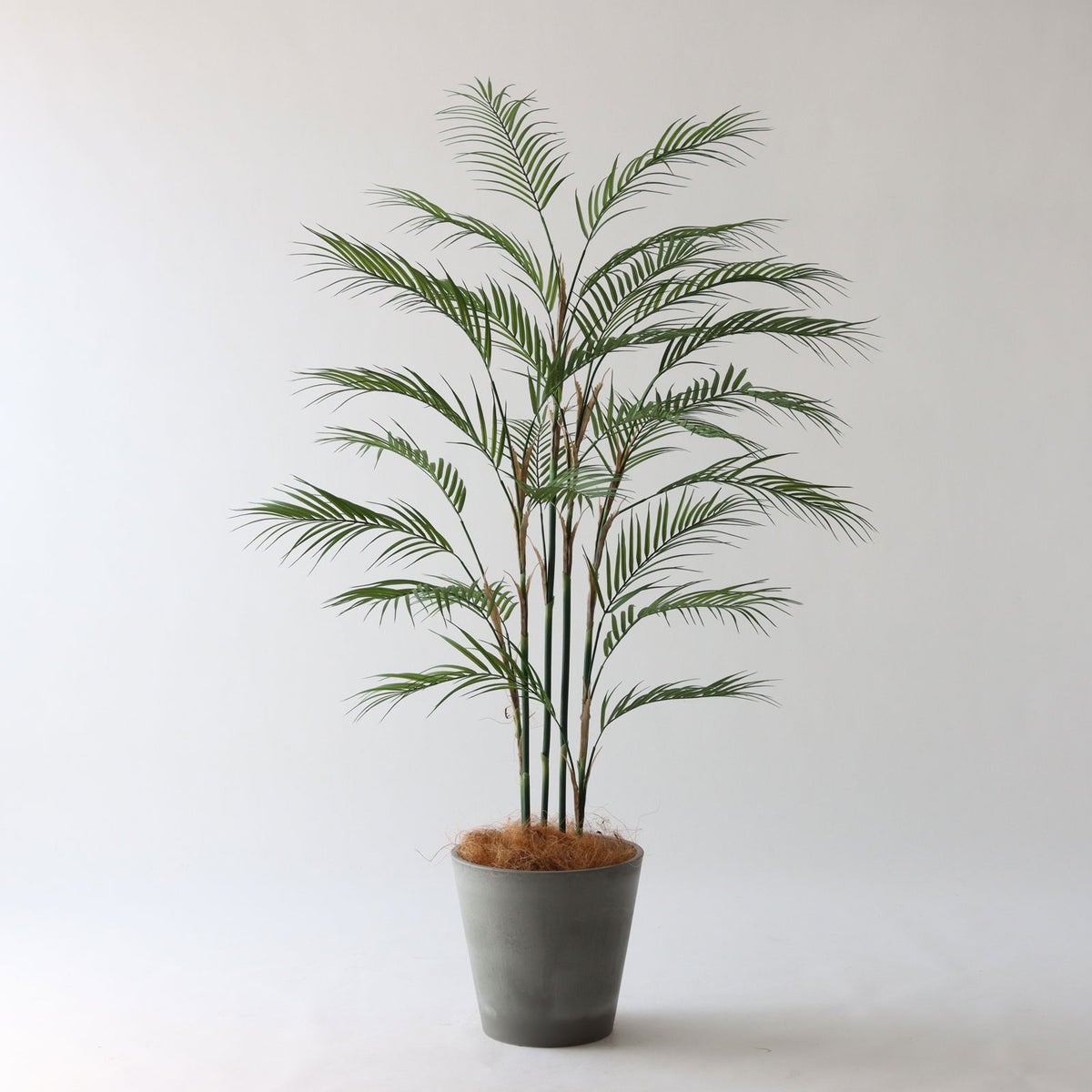 ⑮ Petraポット 小（PT8 グレー）鉢カバー＋底上げセット