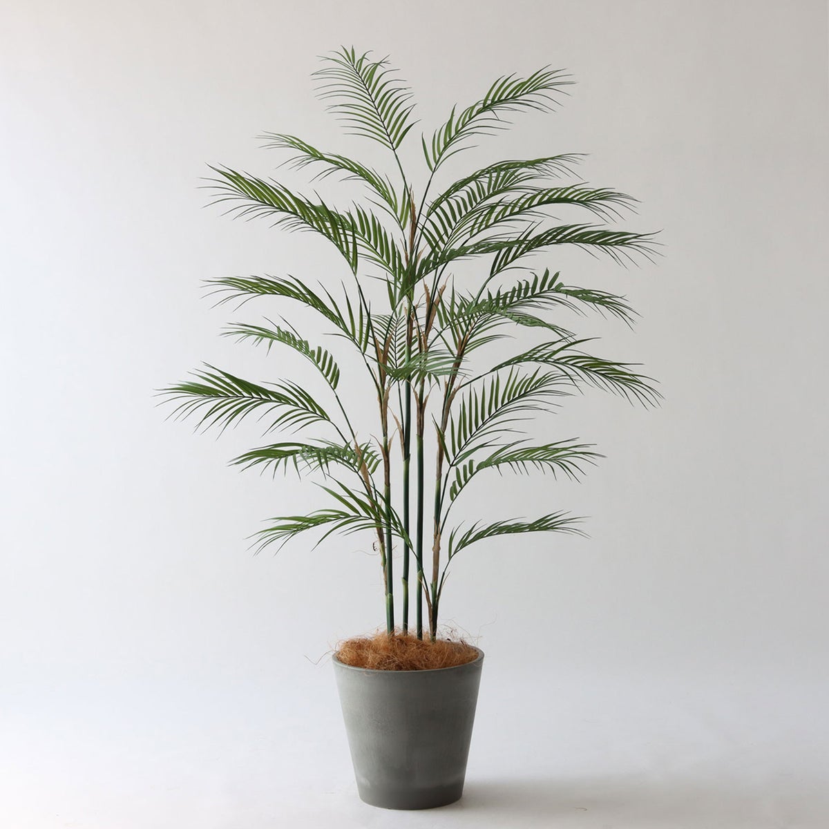 ⑮ Petraポット 小（PT8 グレー）｜高さ調整セット（+10cm）