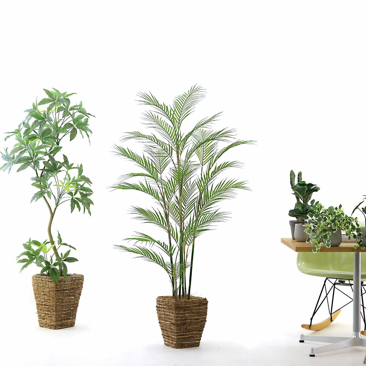 参考　h155cm w90cm d90cm