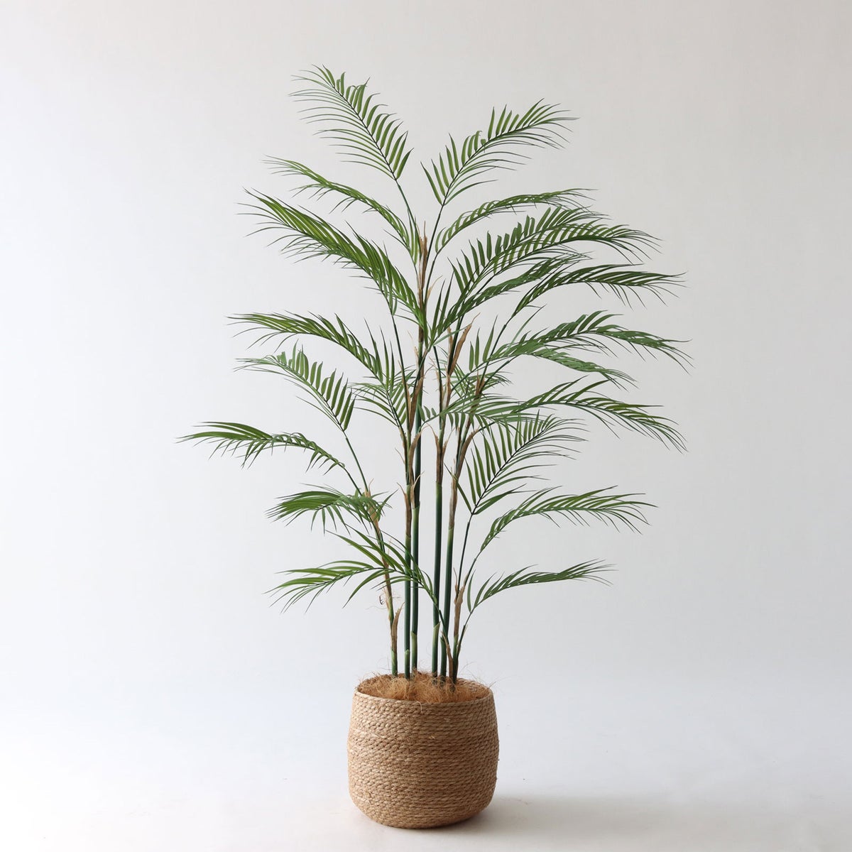 ③ シーグラス 小（SK7）｜標準セット