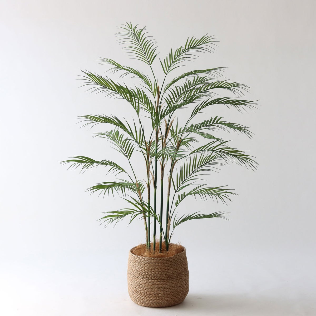 ① シーグラス 大（SK8）｜標準セット