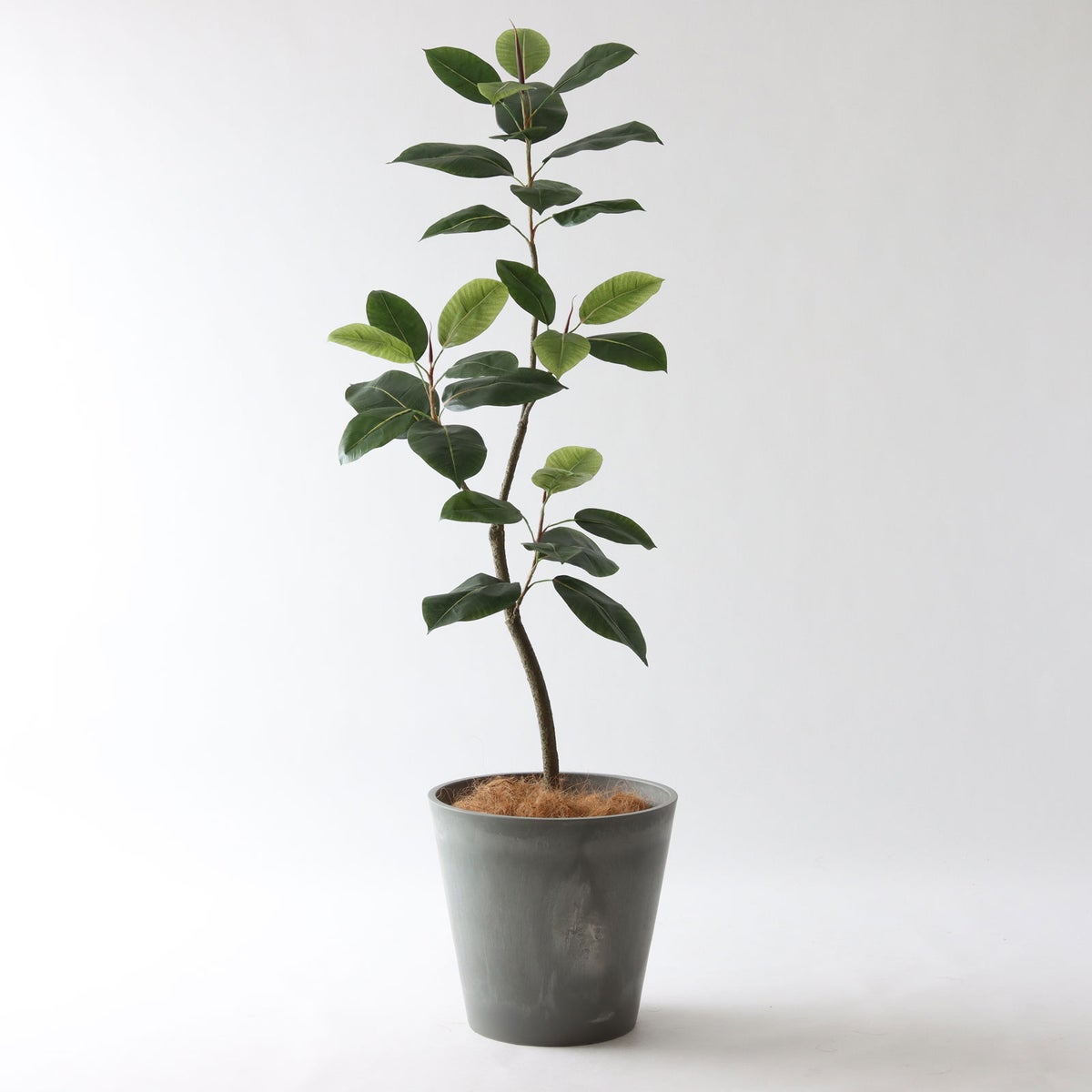 ⑯ Petraポット 大（PT10 グレー）｜高さ調整セット（+15cm）