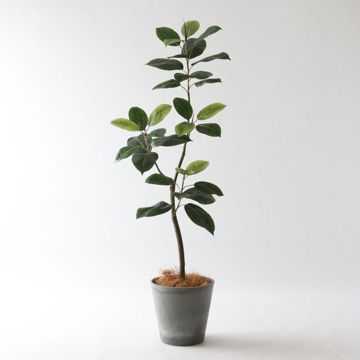 ⑮ Petraポット 小（PT8 グレー）｜高さ調整セット（+10cm）