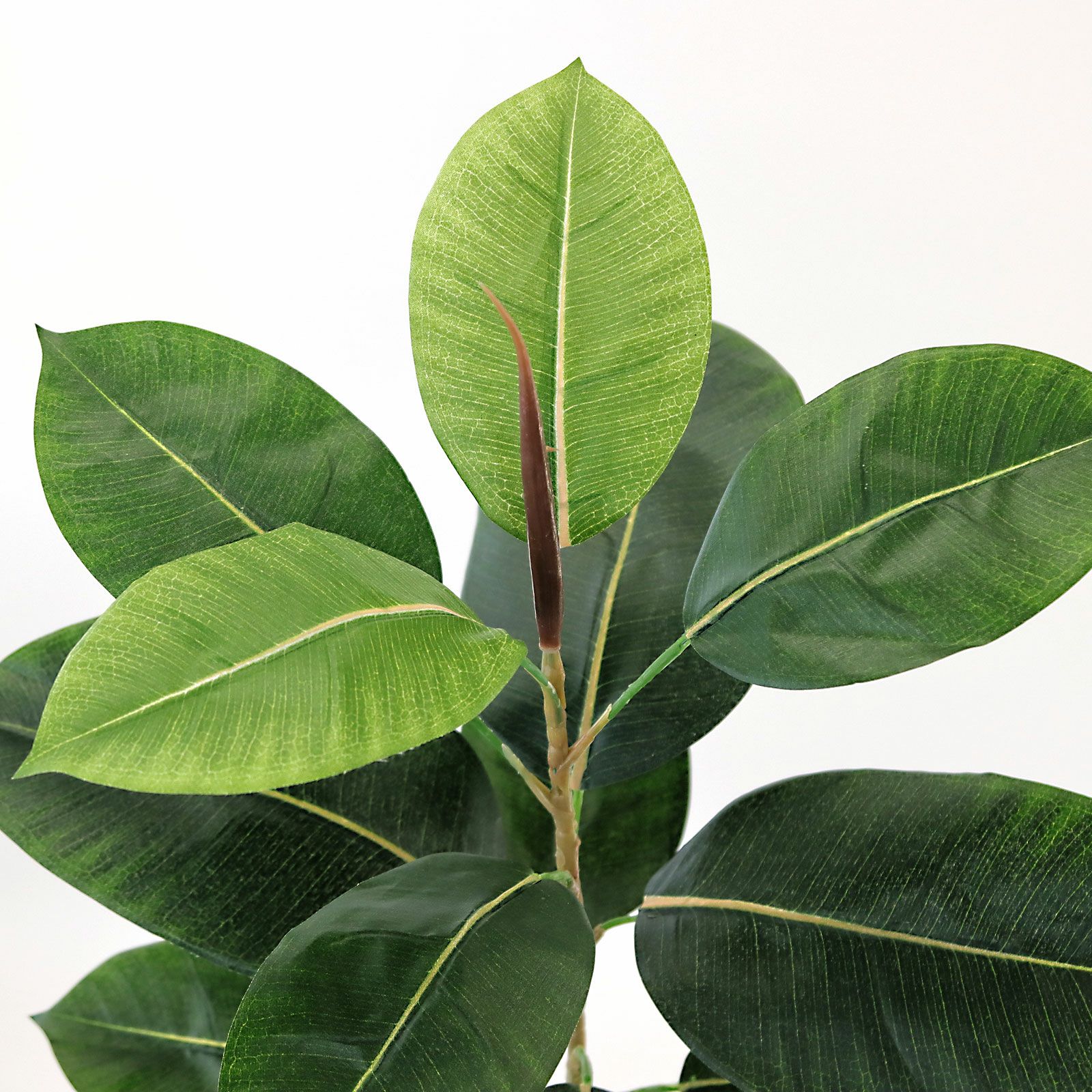 光触媒　人工観葉植物　ウォールグリーン　フェイクグリーン　ゴムノキaj No9422 プレミアム光触媒フェイクグリーン 「凛とした存在感 × 空間に