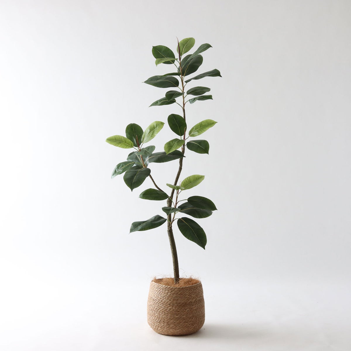 ③ シーグラス 小（SK7）｜標準セット