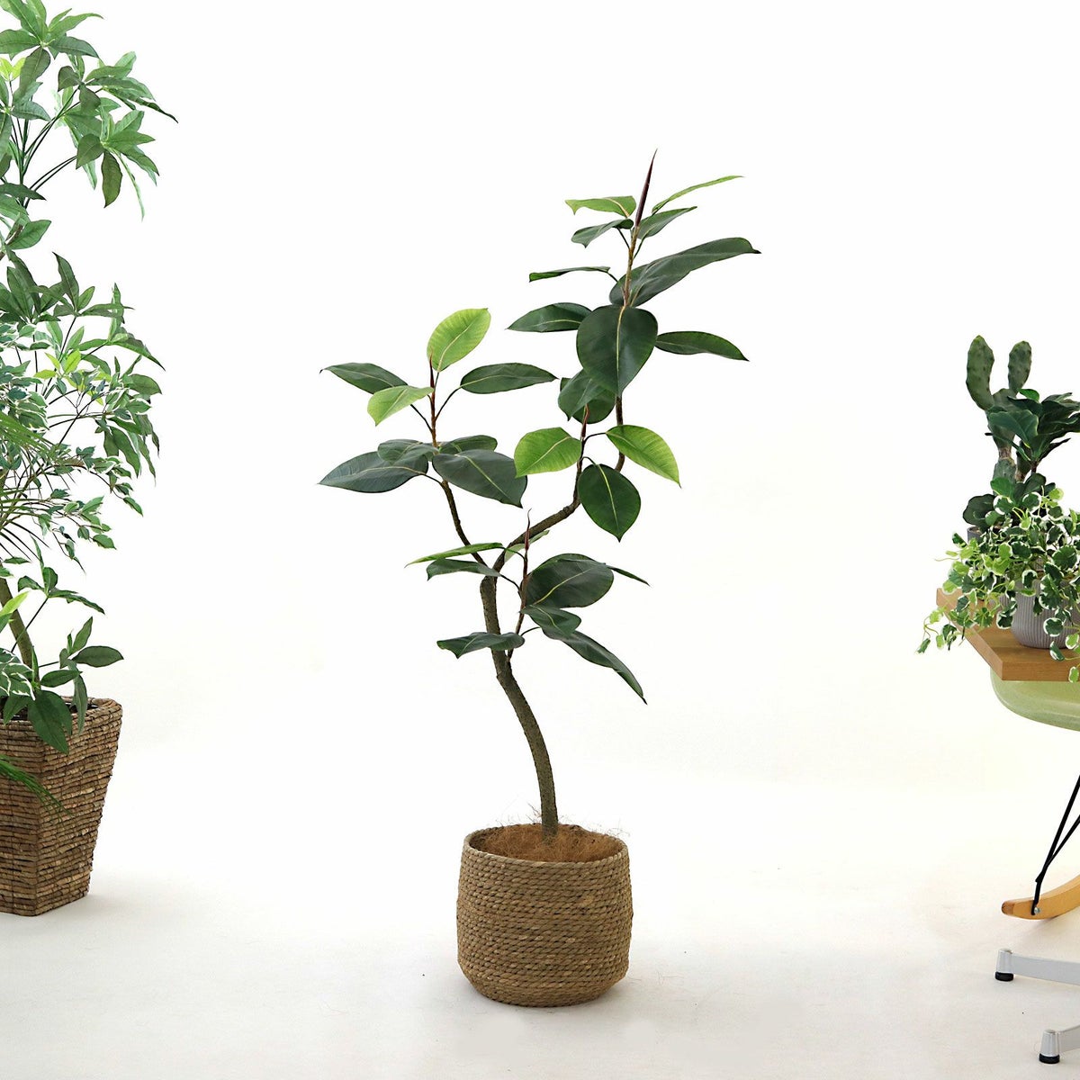 高さ135cm ③ シーグラス 小（SK7）鉢カバーセット