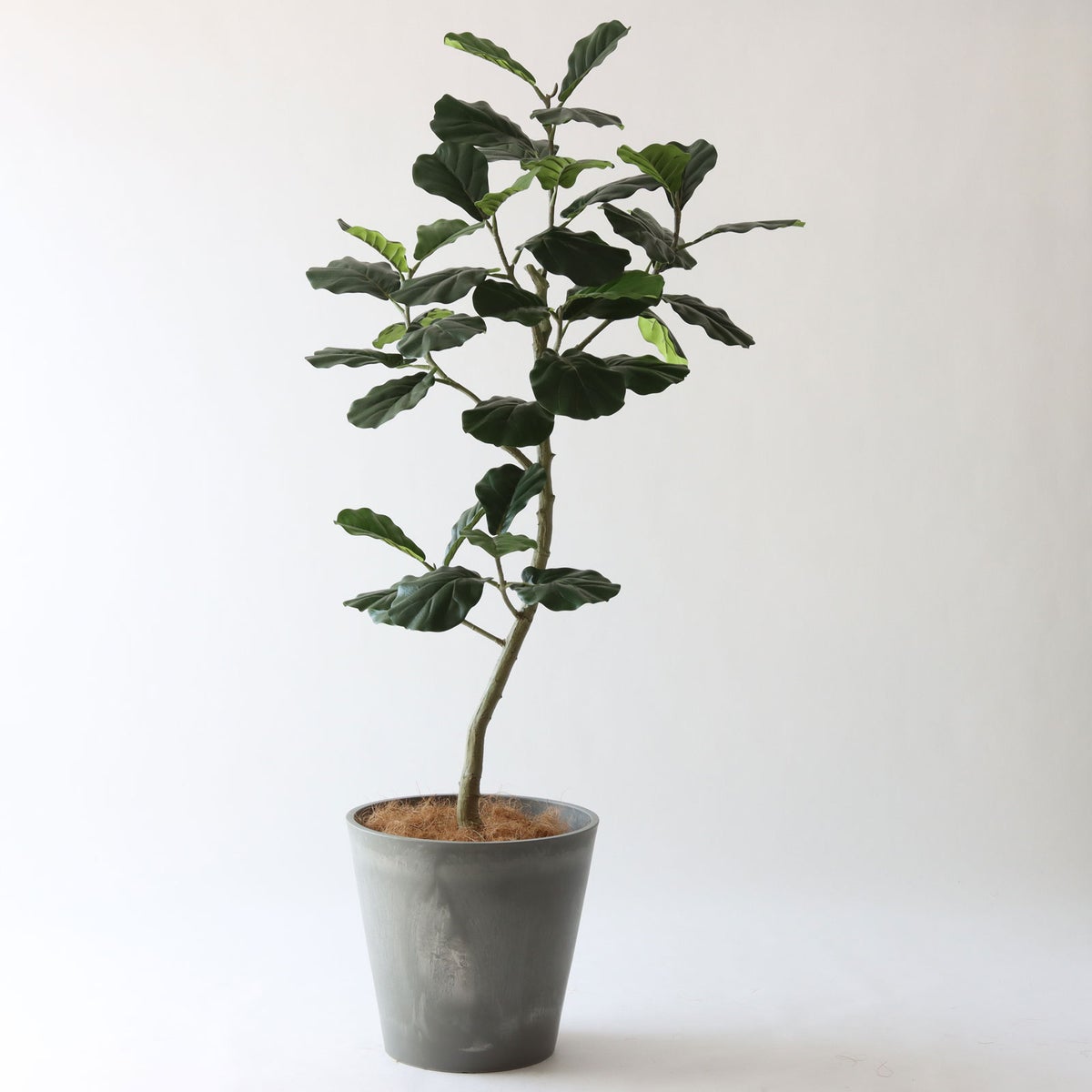 ⑯ Petraポット 大（PT10 グレー）｜高さ調整セット（+15cm）