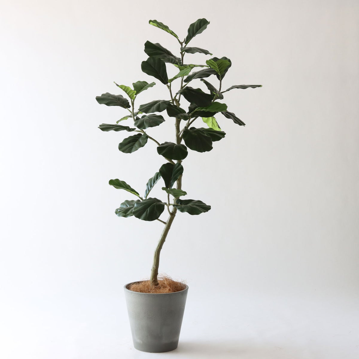 ⑮ Petraポット 小（PT8 グレー）｜高さ調整セット（+10cm）