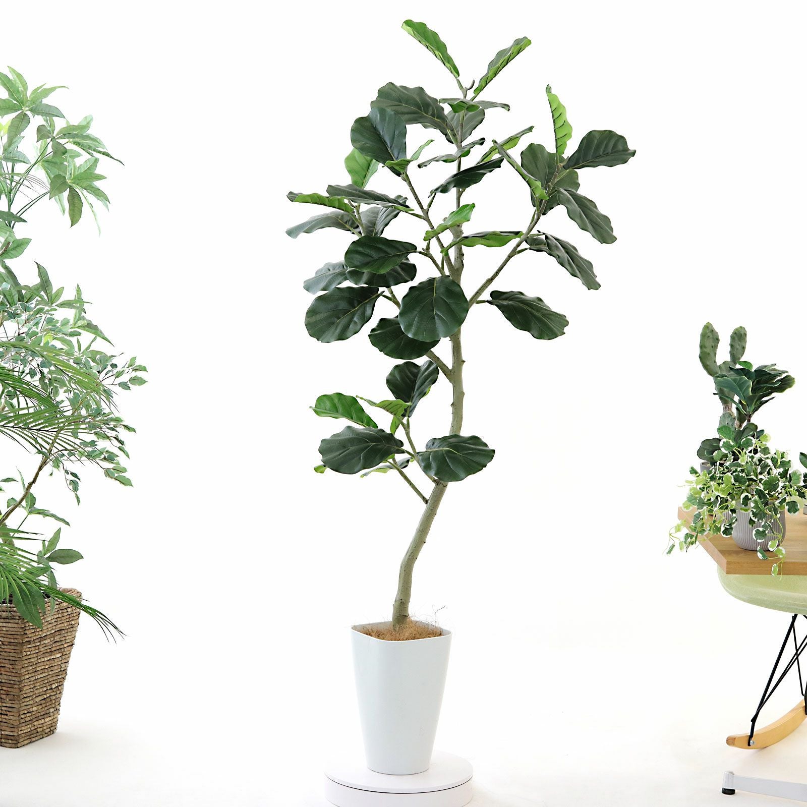 360度回転イメージ