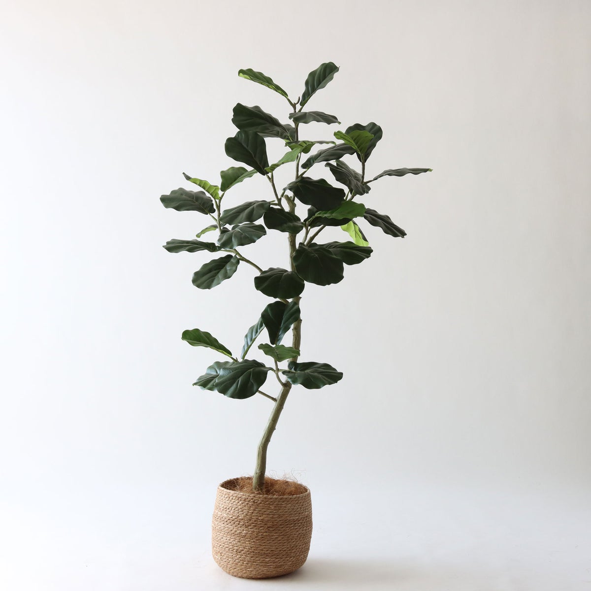 ③ シーグラス 小（SK7）｜標準セット