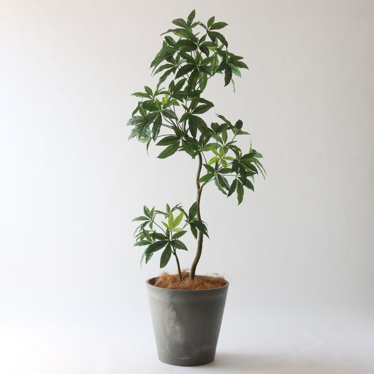 ⑯ Petraポット 大（PT10 グレー）｜高さ調整セット(+15cm) 