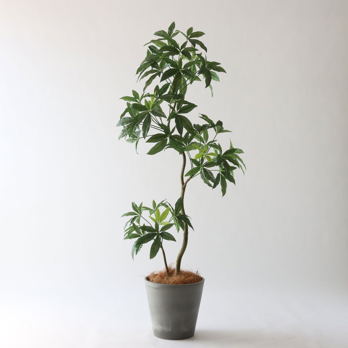 ⑮ Petraポット 小（PT8 グレー）｜高さ調整セット(+10cm)