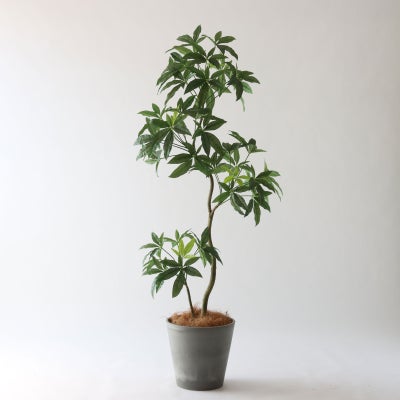 高さ150-180cm | プレミアム光触媒フェイクグリーン 造花ドットコム 