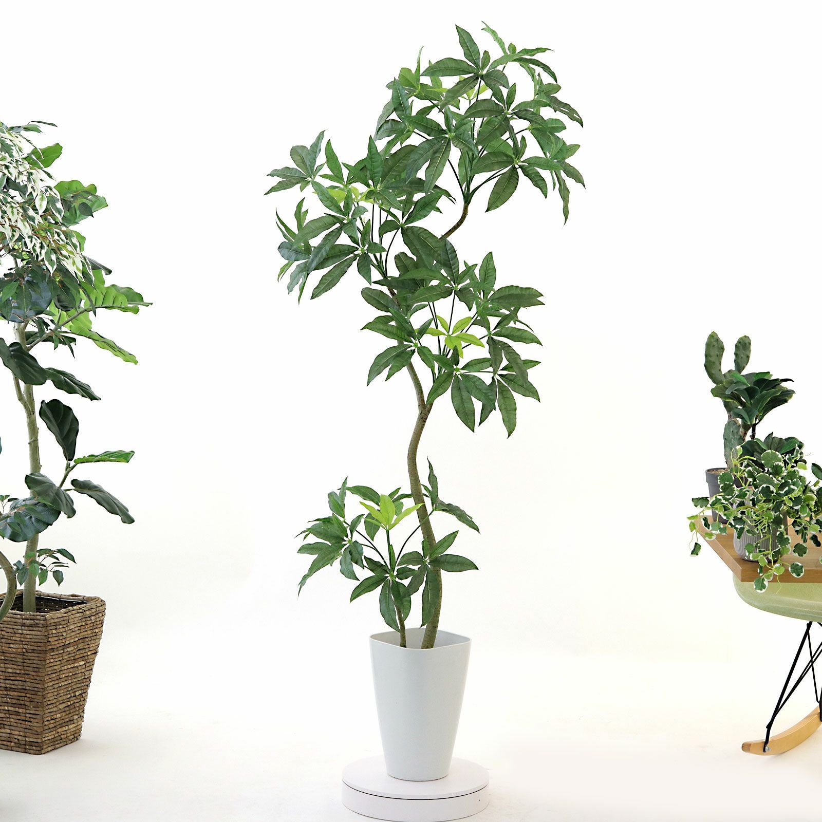 360度回転イメージ