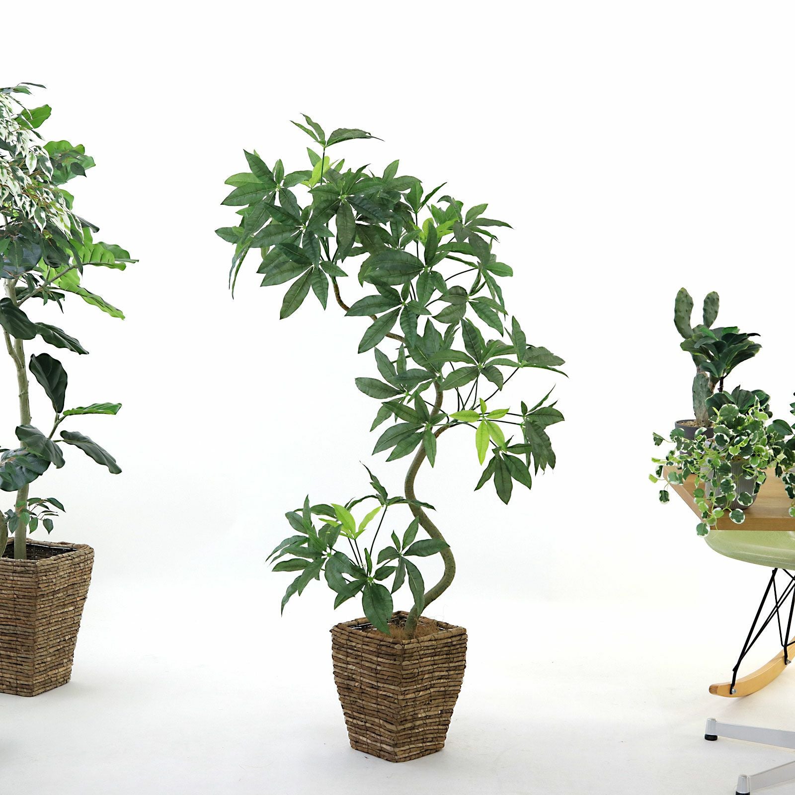 No8455 幹デザインアレンジ例