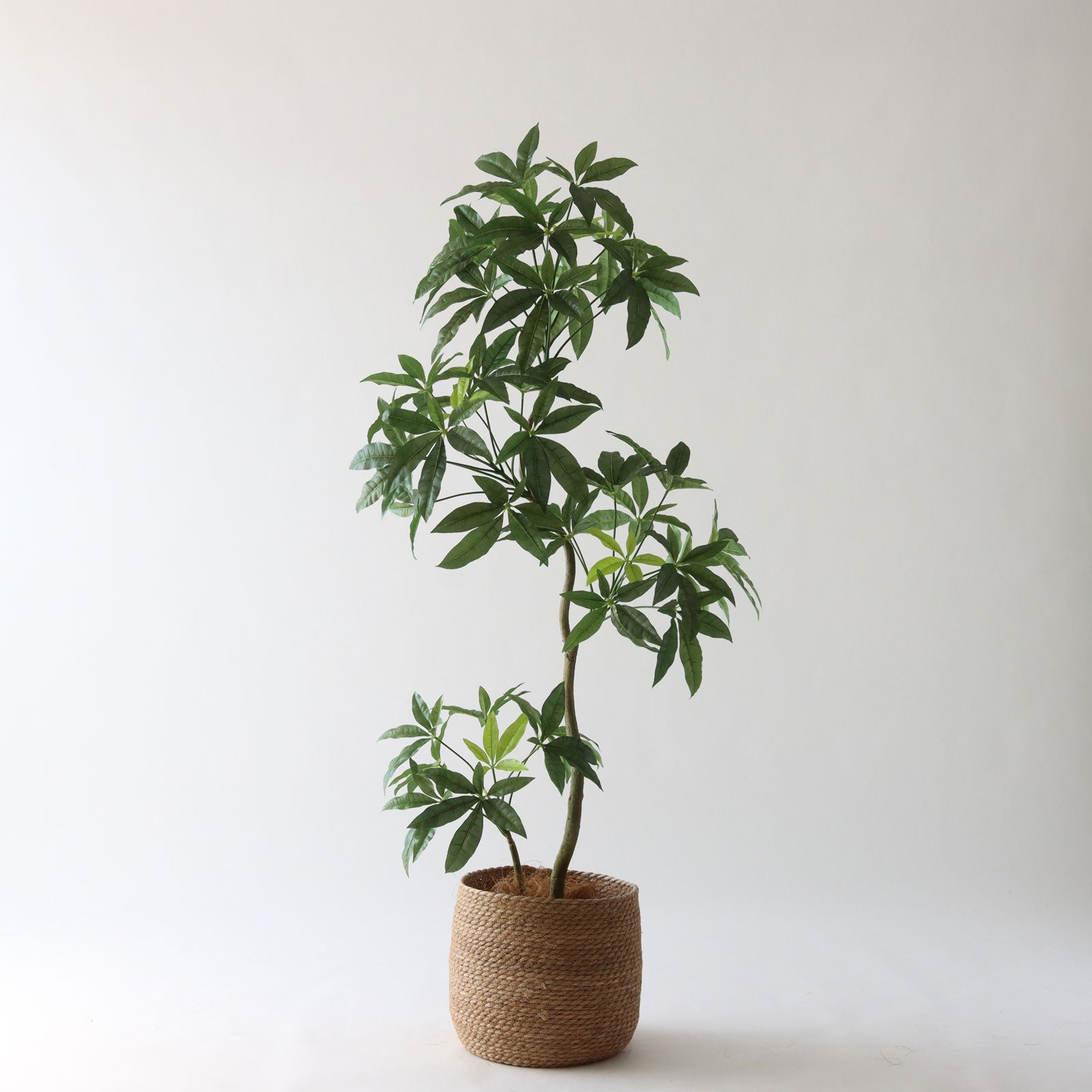 幅-70cm | プレミアム光触媒フェイクグリーン 造花ドットコム zouka.com