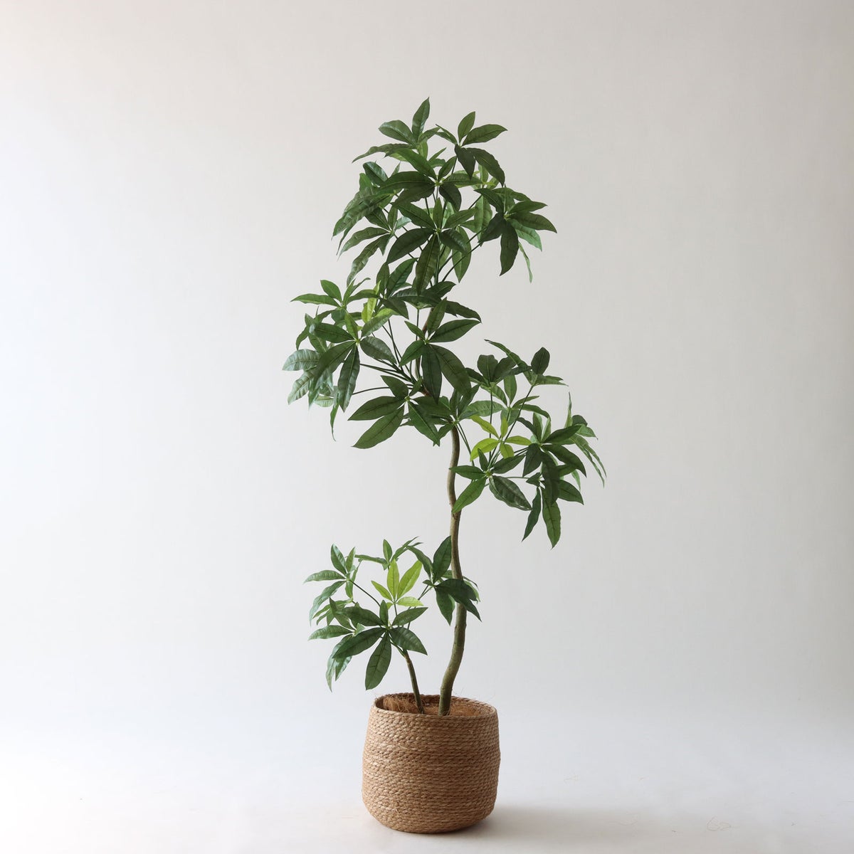 ③ シーグラス 小（SK7）｜標準セット