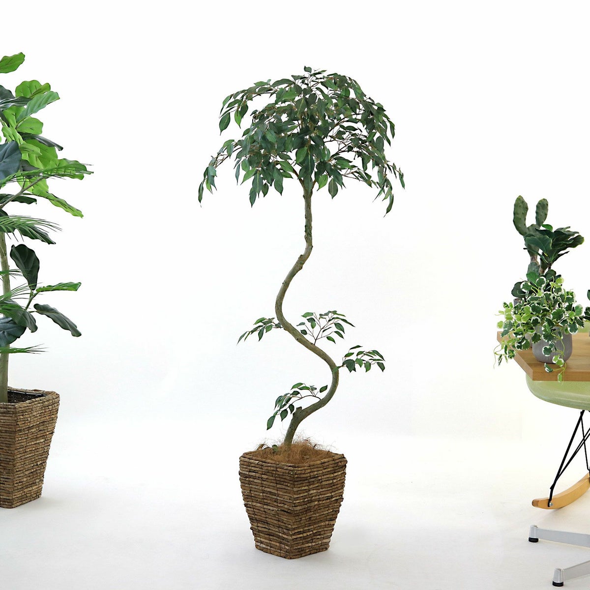 ④ バナナリーフ 小（KG4-SRE）鉢カバーセット