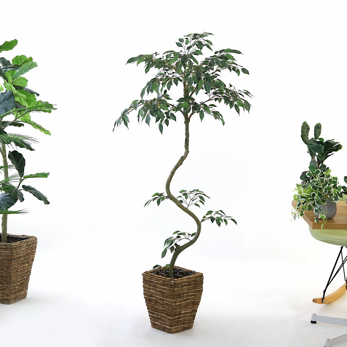 参考 h145cm w65cm d60cm